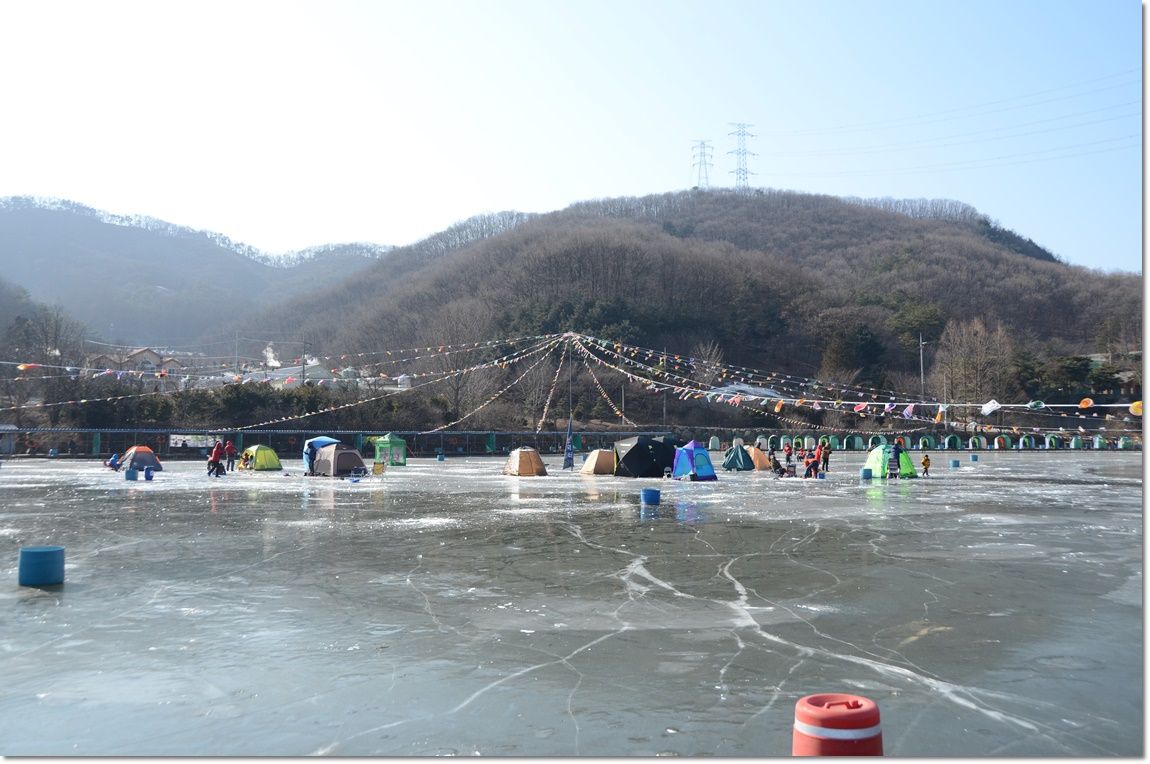 DSC_4037.JPG