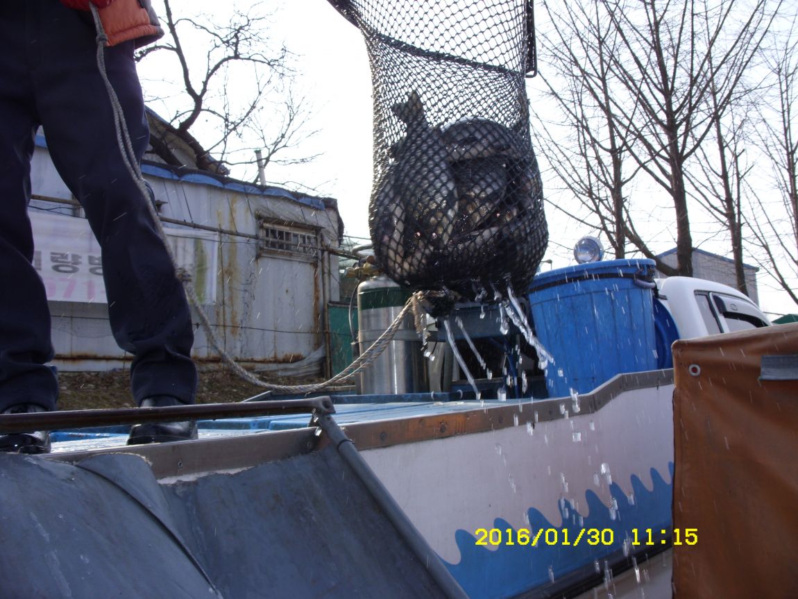 SDC15426.JPG
