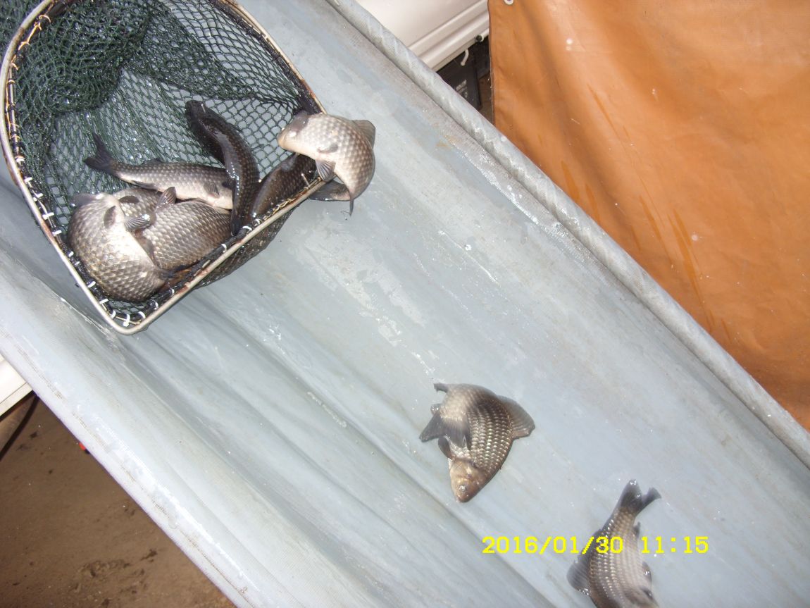 SDC15427.JPG