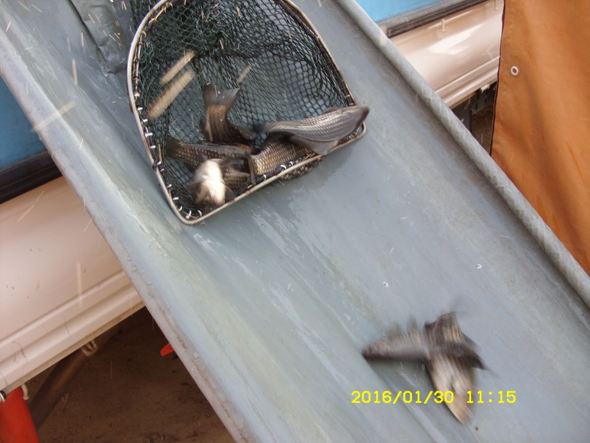 SDC15428.JPG