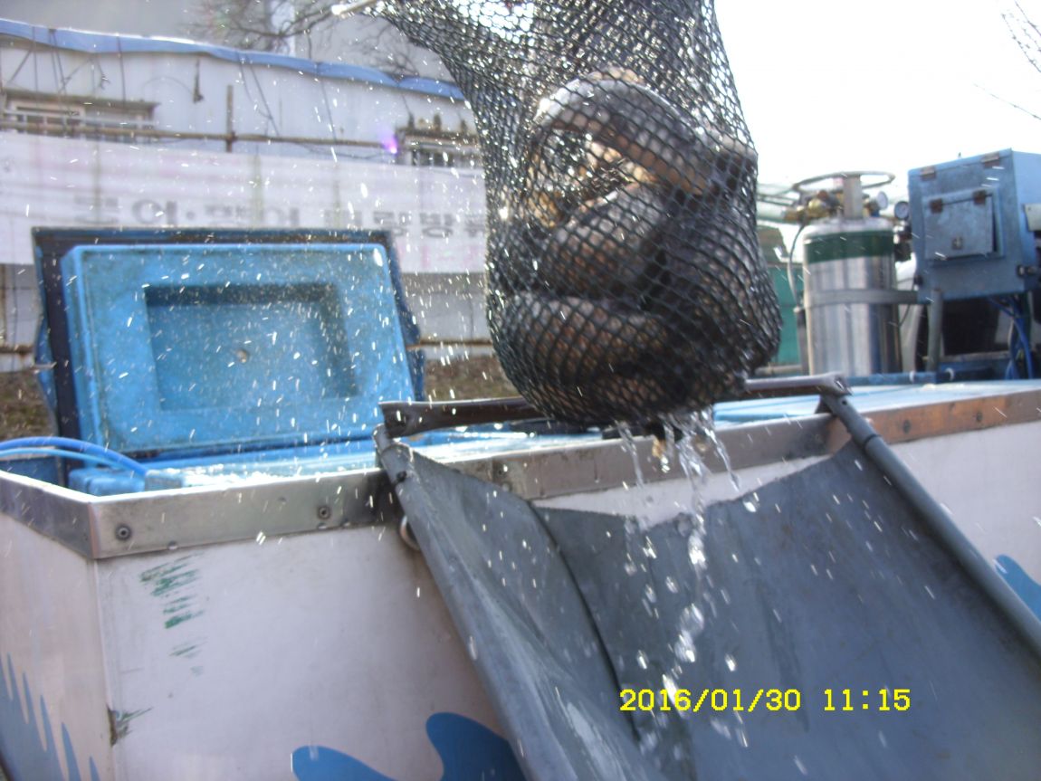SDC15432.JPG