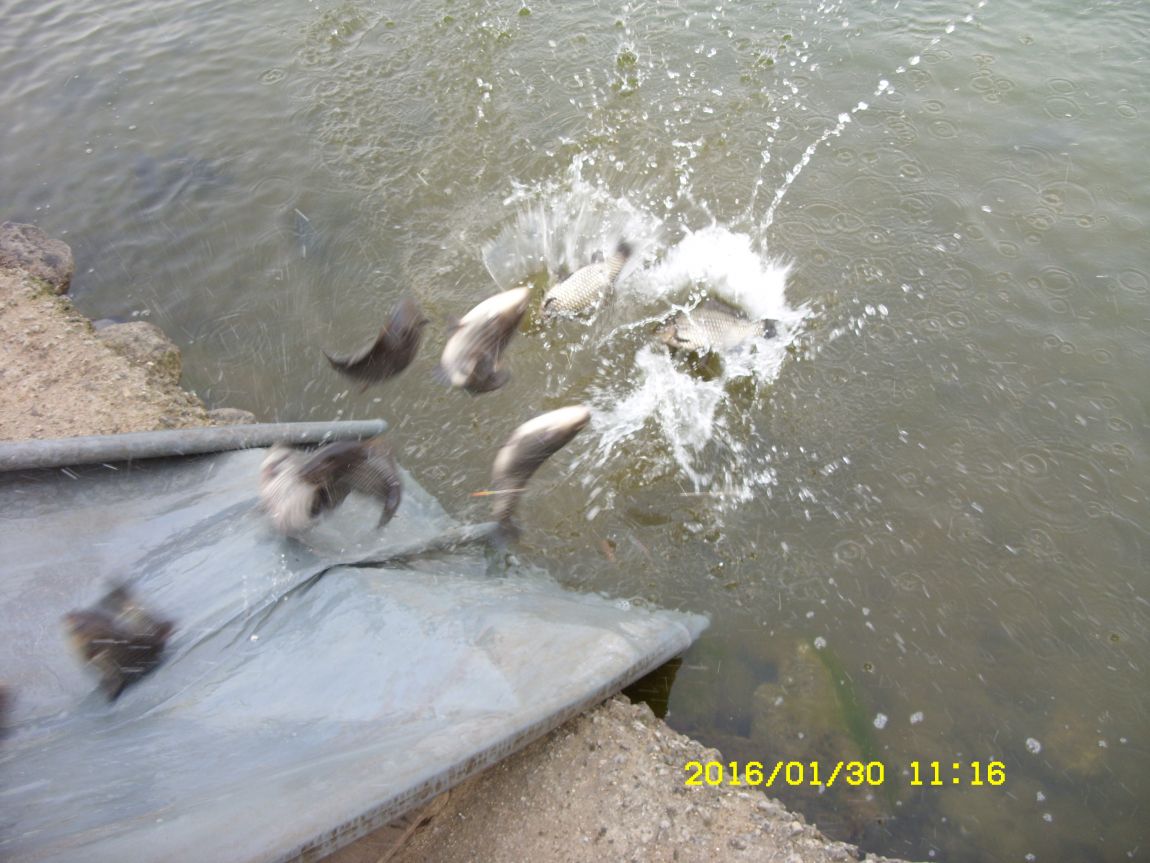 SDC15433.JPG