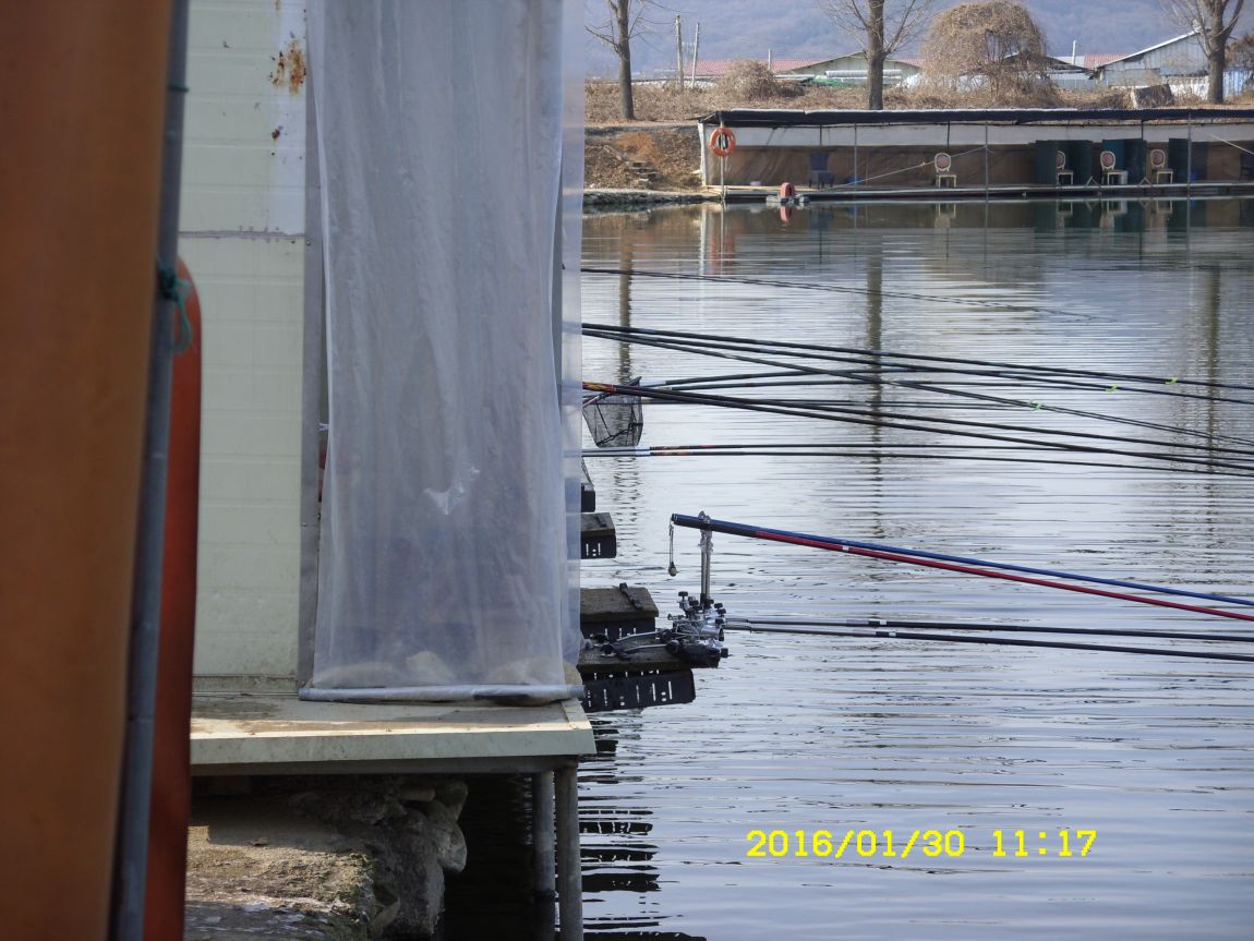 SDC15440.JPG