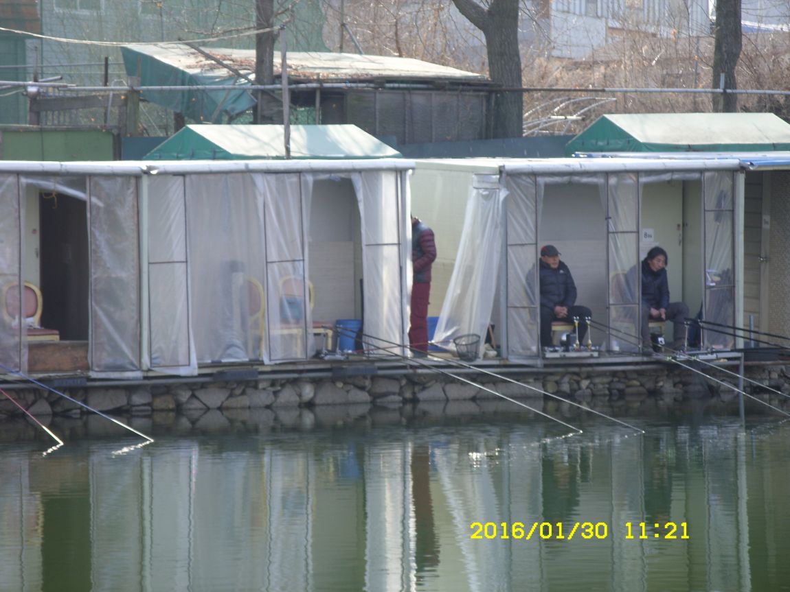 SDC15444.JPG