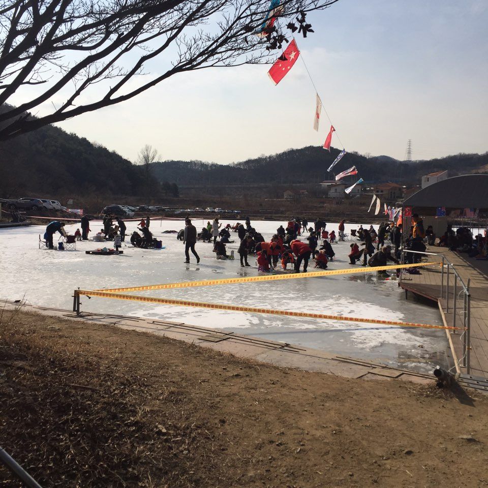 KakaoTalk_20160131_154711671.jpg