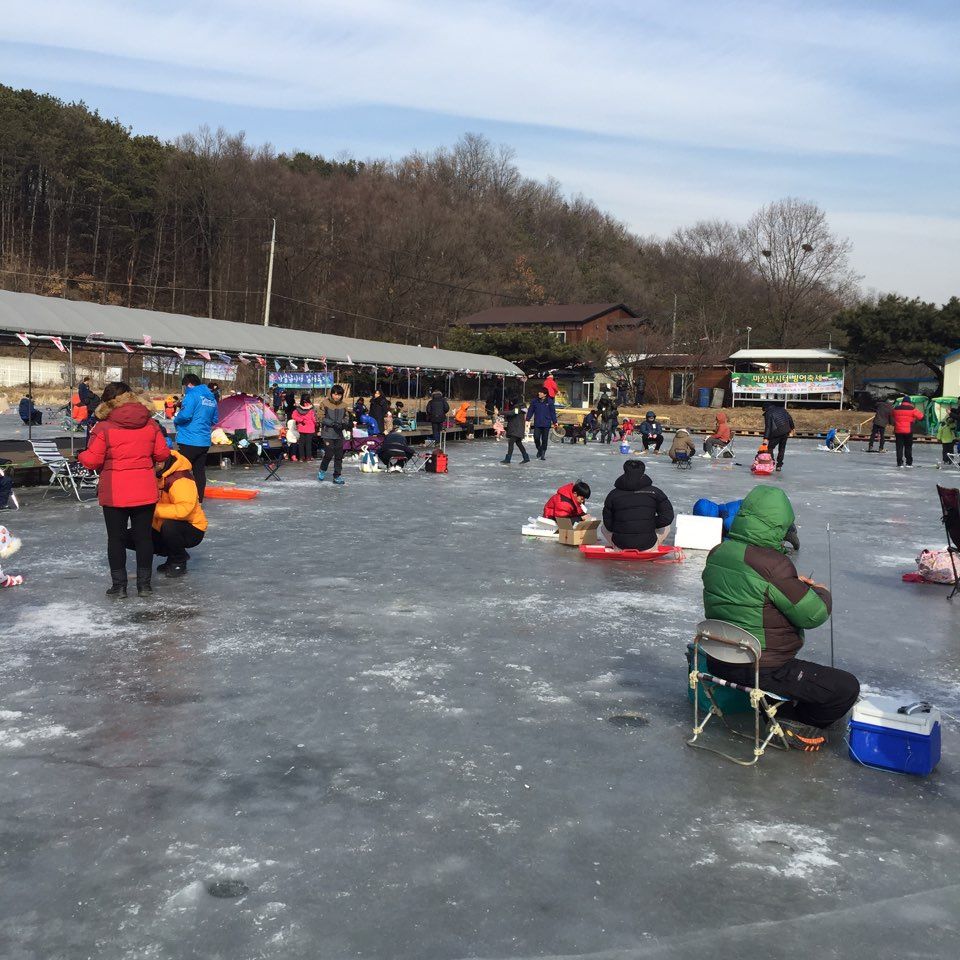 KakaoTalk_20160131_154650508.jpg
