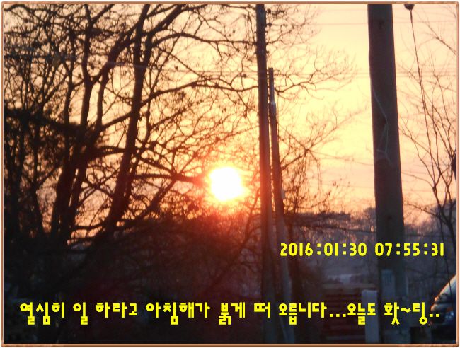 ٹ̱_DSCN0740.JPG