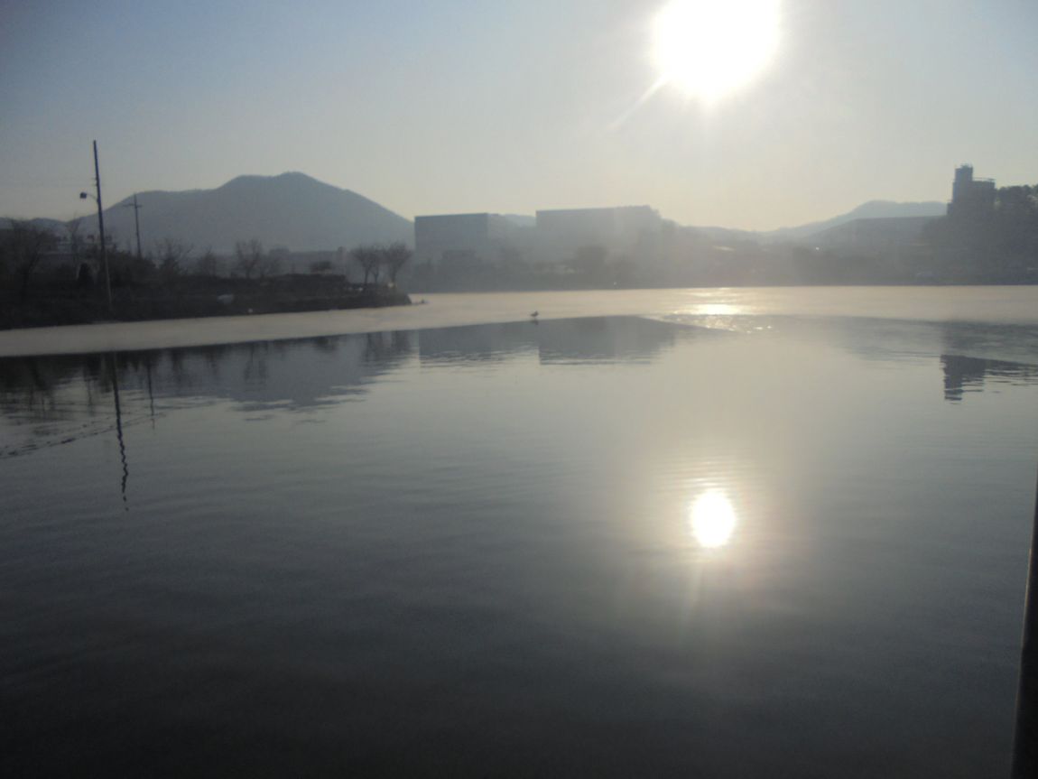 DSC01429.JPG