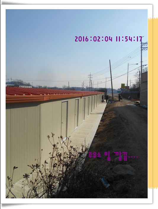 ٹ̱_DSCN0780.JPG