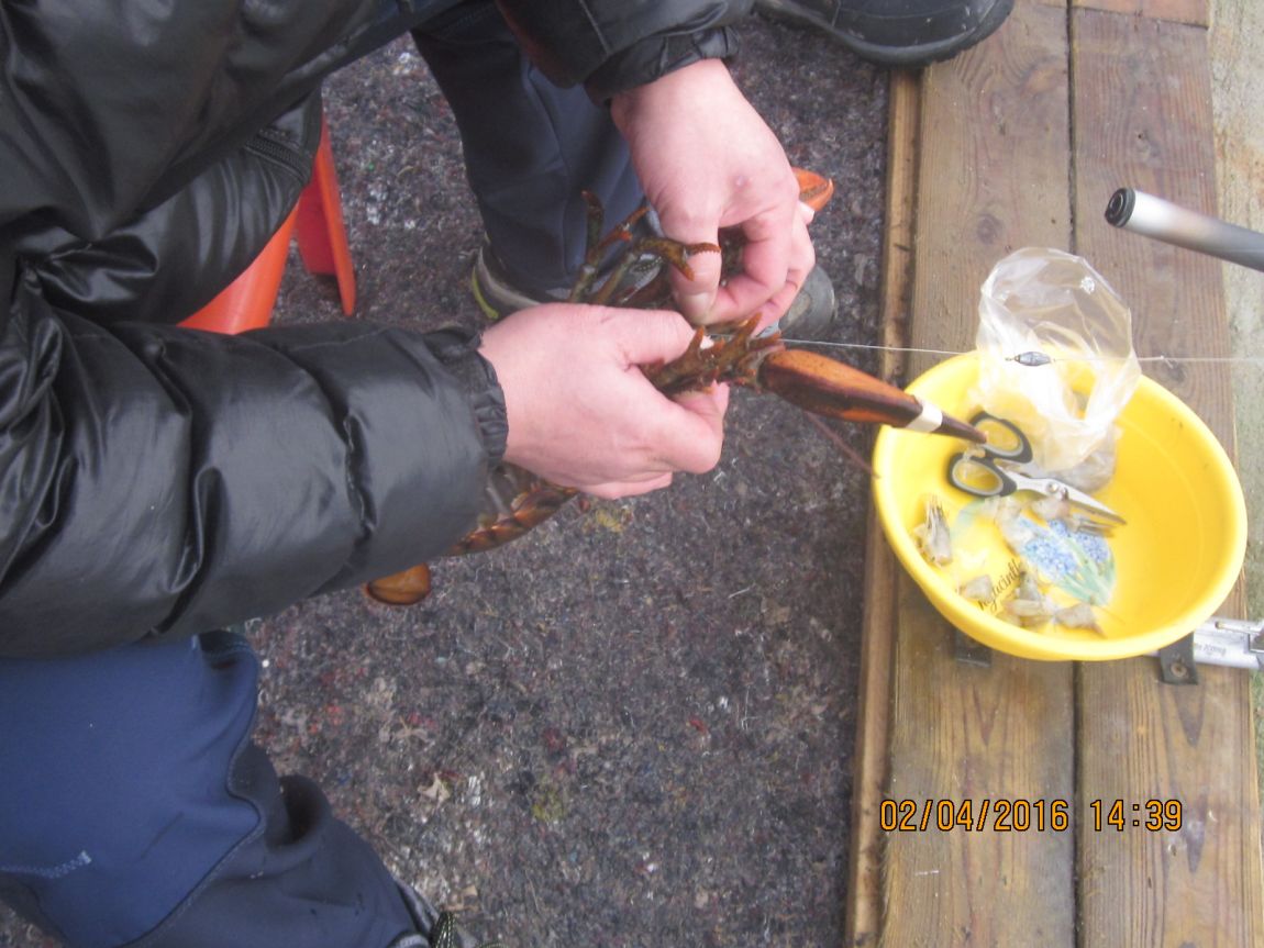 IMG_1841.JPG