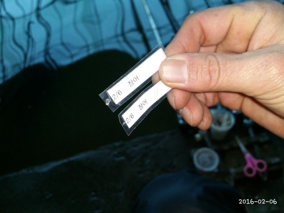 1454758540857.jpg