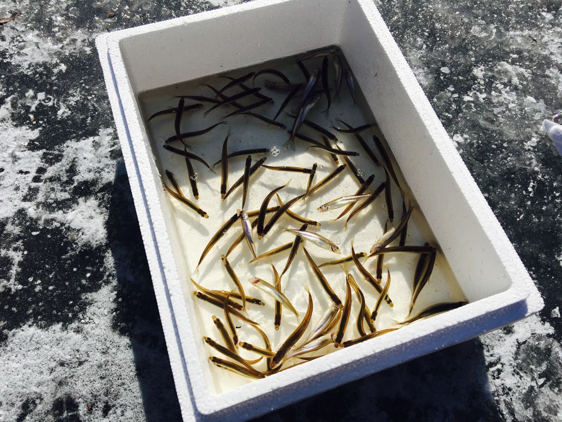 ���� 004.jpg