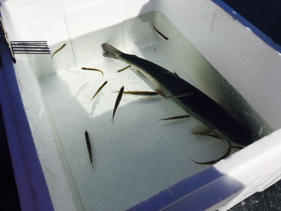 ���� 005.jpg