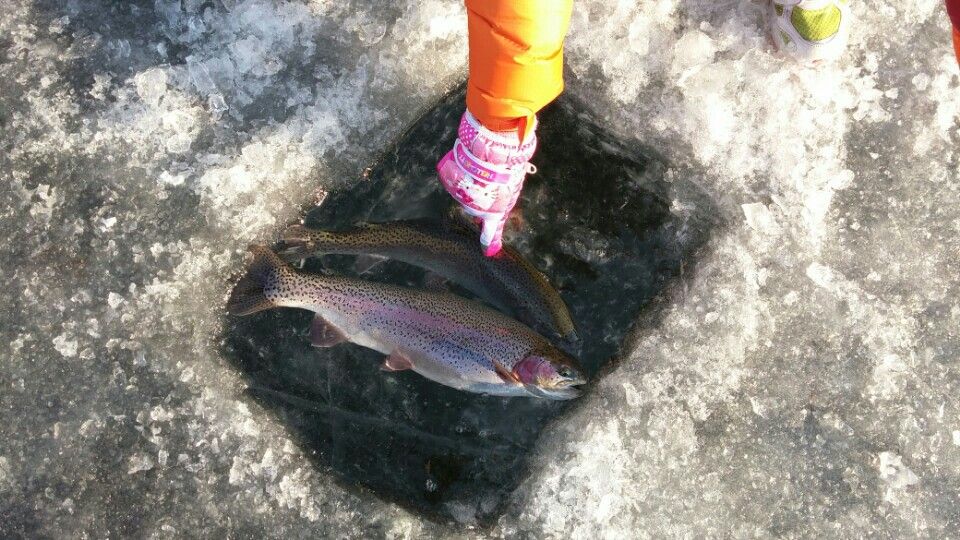 ���� 009.jpg