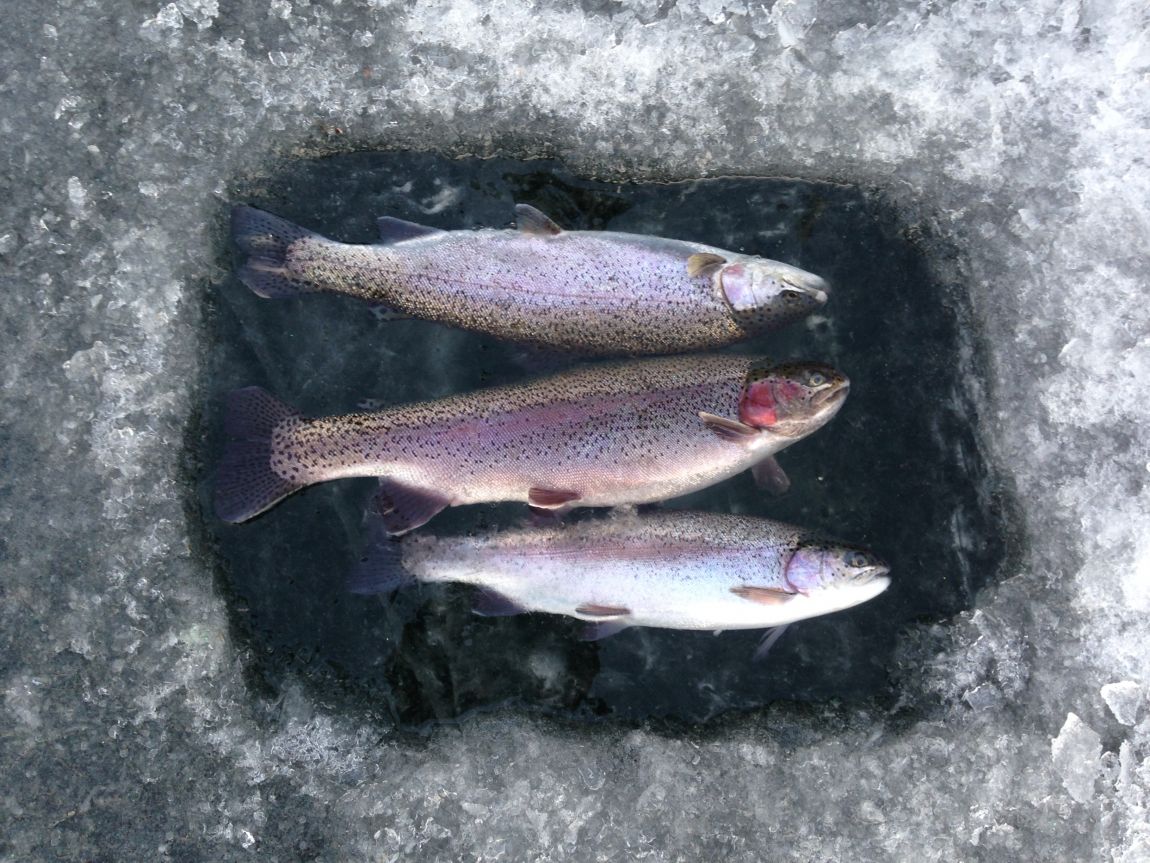 ���� 017.jpg