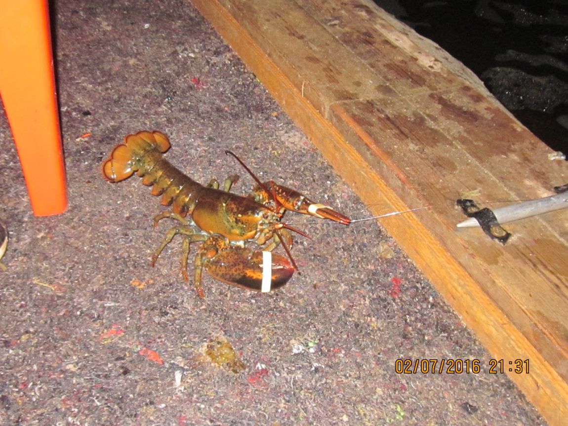 IMG_2451.JPG