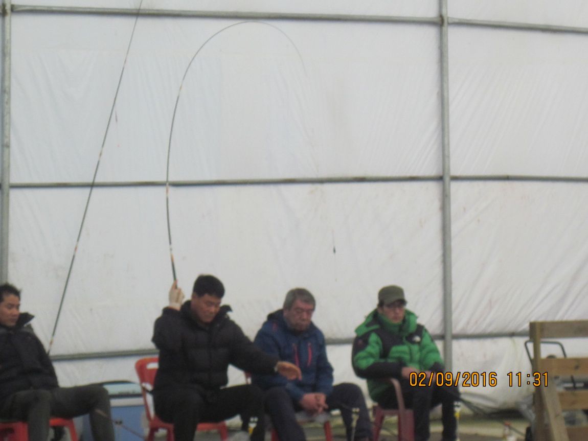 IMG_2511.JPG