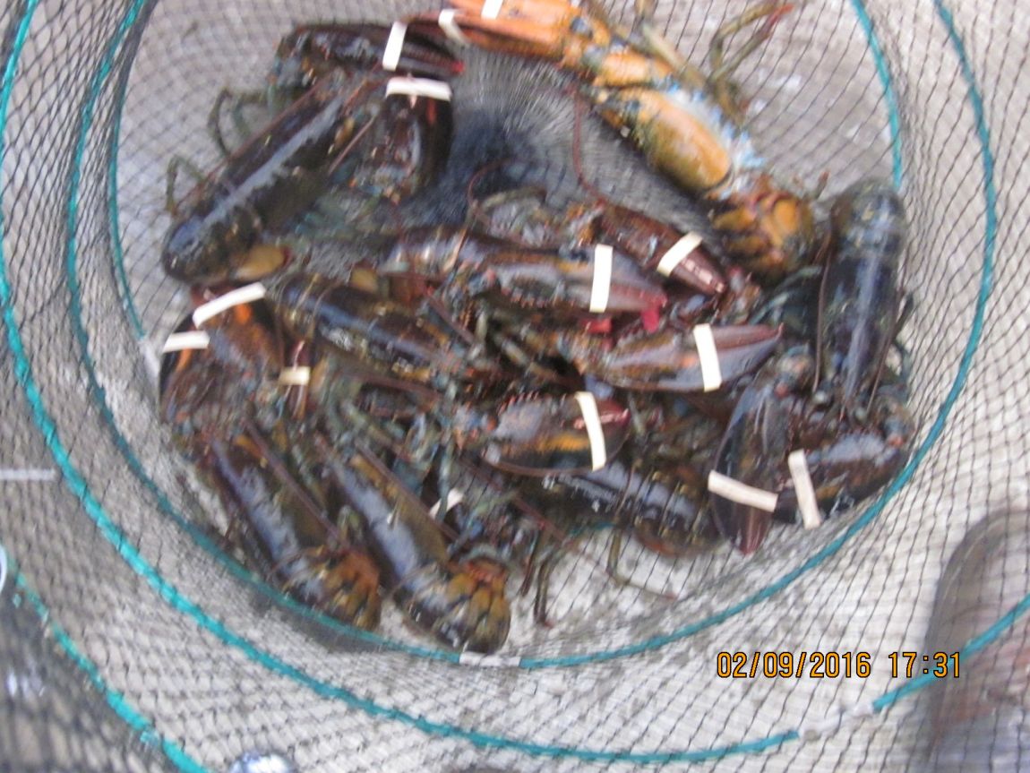 IMG_2587.JPG