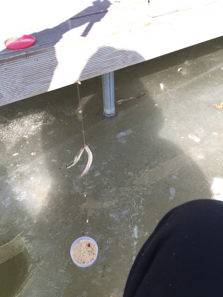 KakaoTalk_20160210_122826431.jpg
