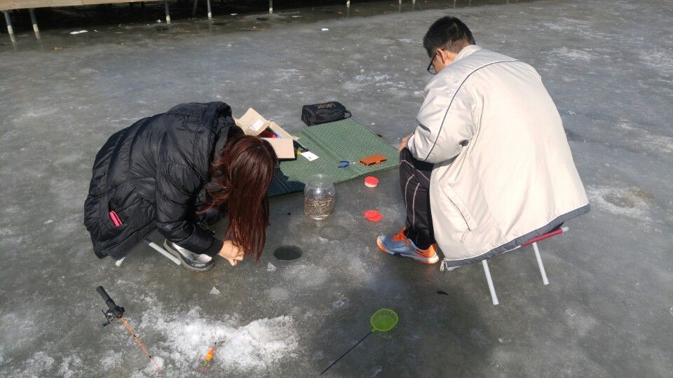 KakaoTalk_20160210_123606621.jpg