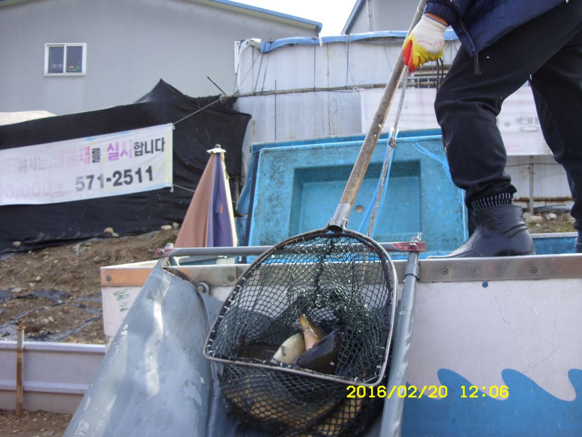 SDC15570.JPG