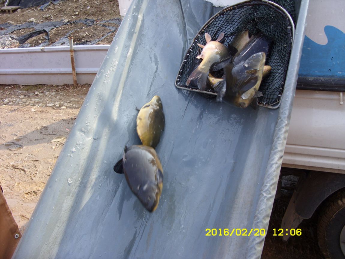 SDC15572.JPG
