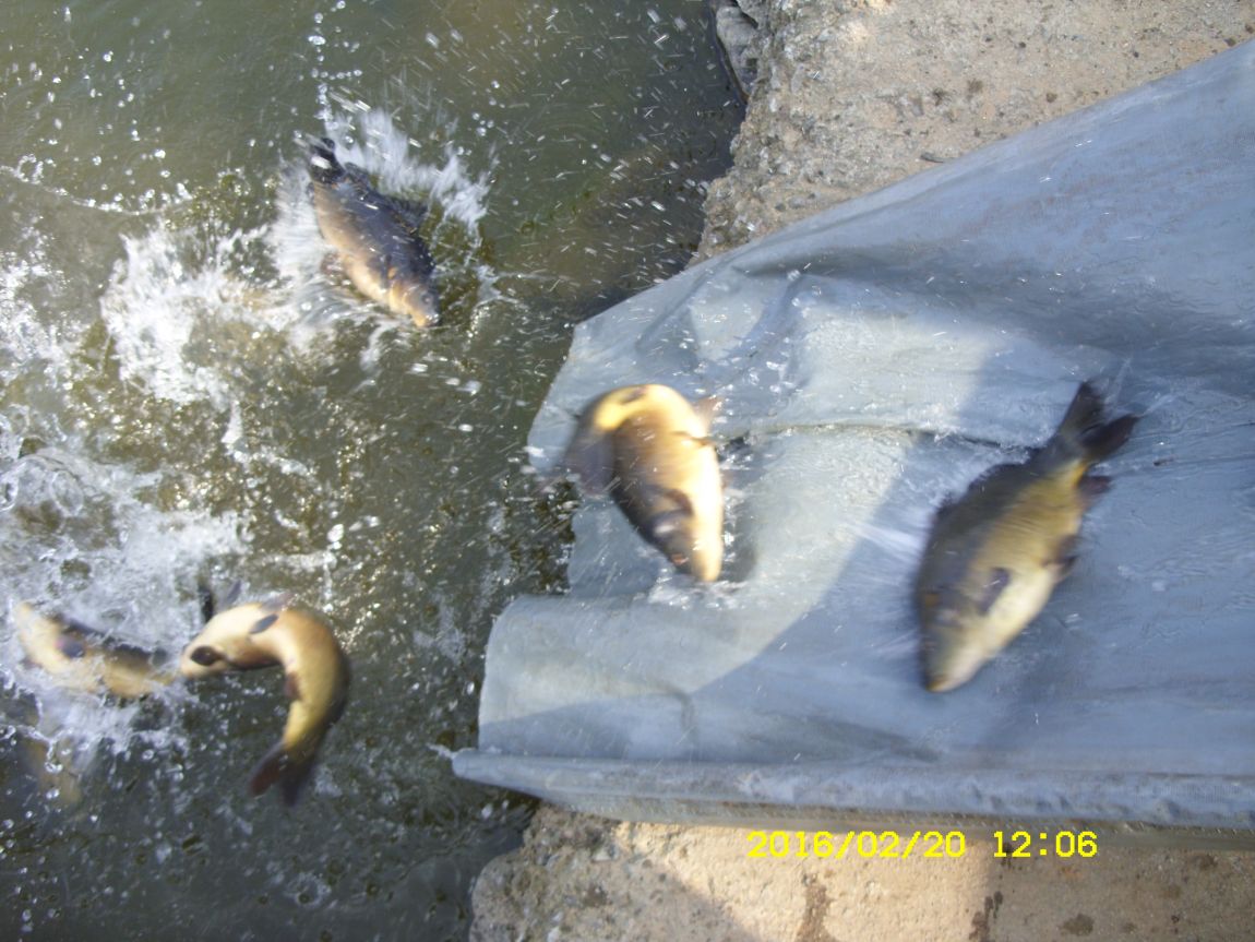 SDC15575.JPG