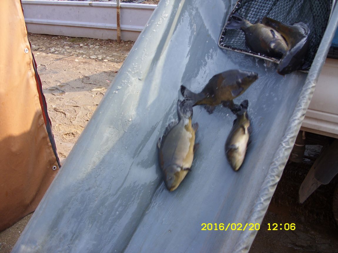SDC15576.JPG