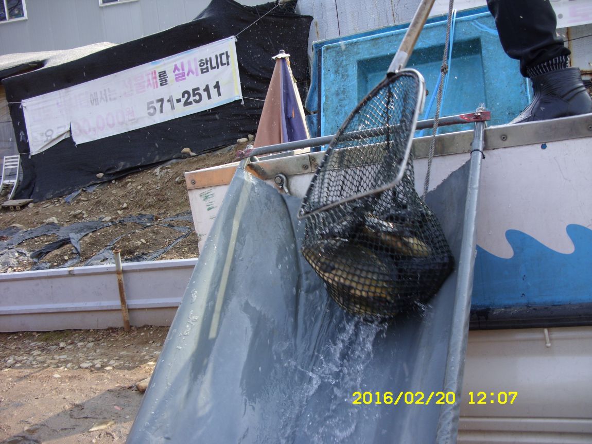 SDC15577.JPG