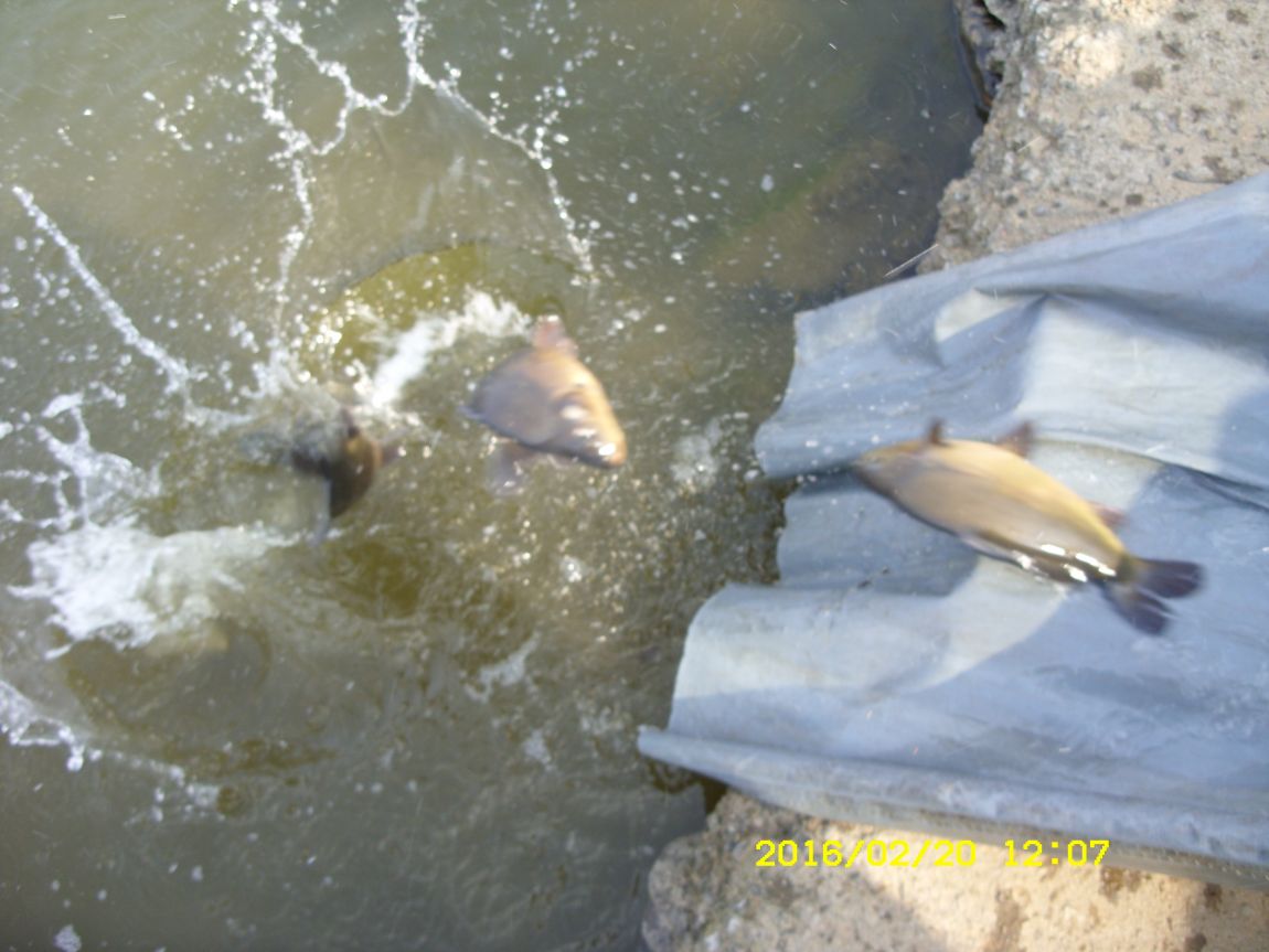 SDC15579.JPG