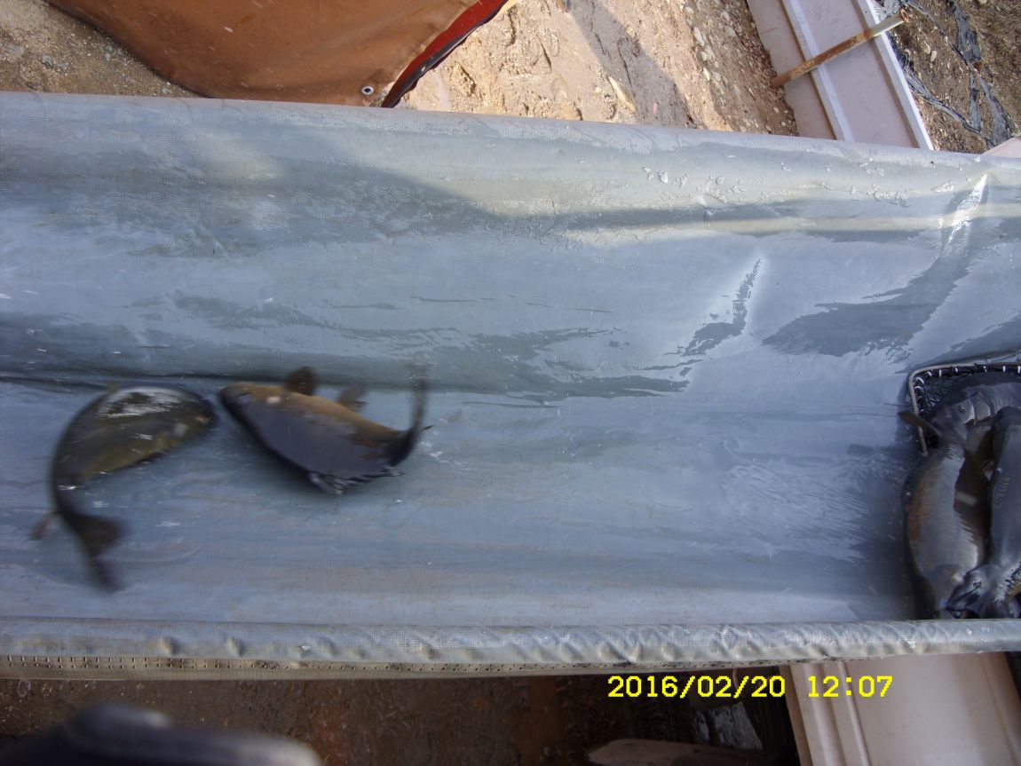 SDC15580.JPG