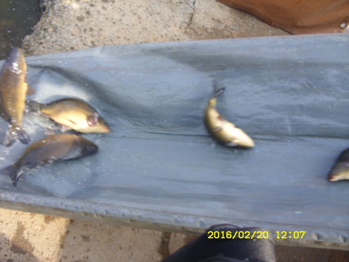 SDC15581.JPG