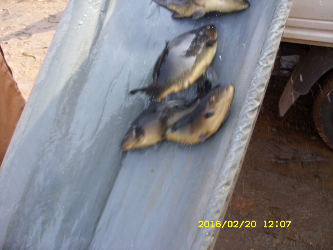 SDC15582.JPG