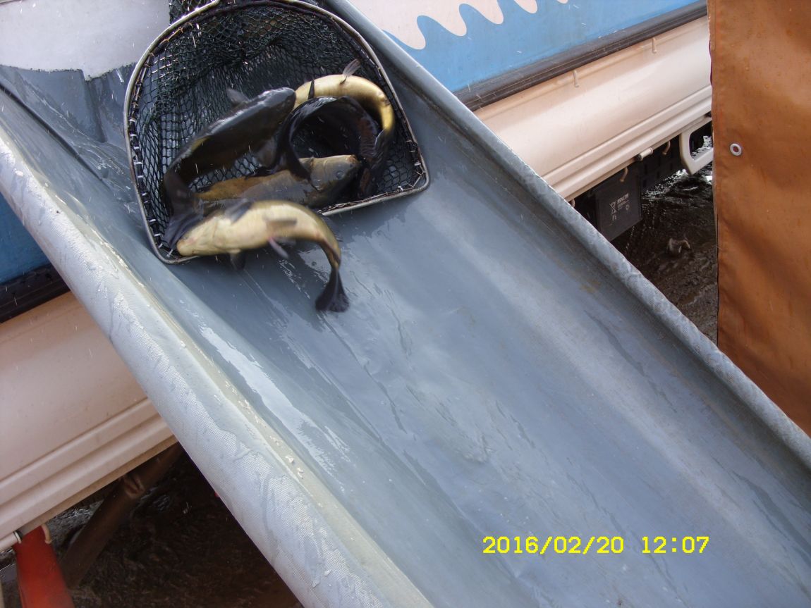SDC15583.JPG