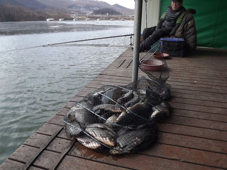 1916��ȭ�� 001.jpg