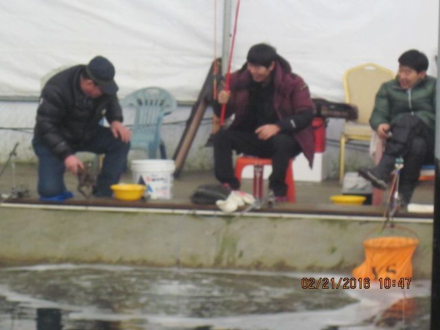 IMG_3511.JPG