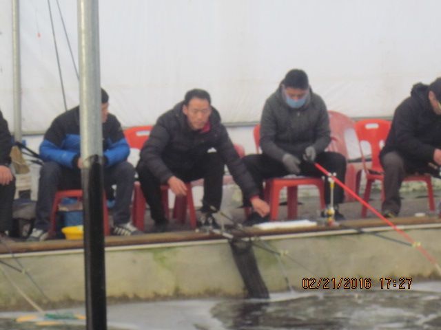 IMG_3543.JPG