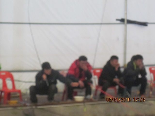 IMG_3541.JPG