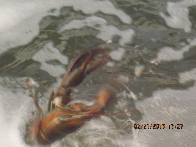 IMG_3545.JPG