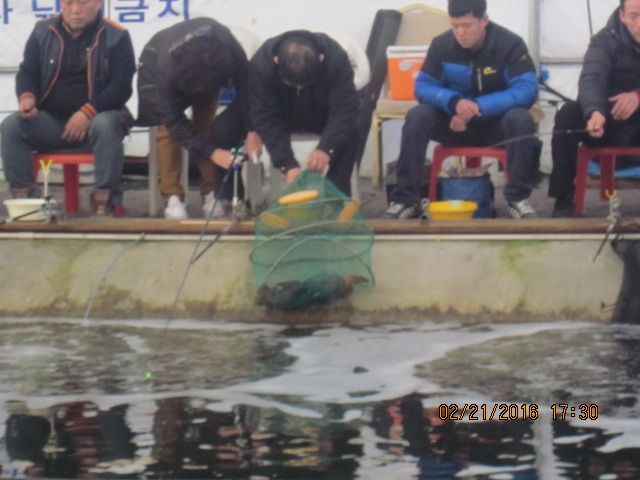 IMG_3552.JPG