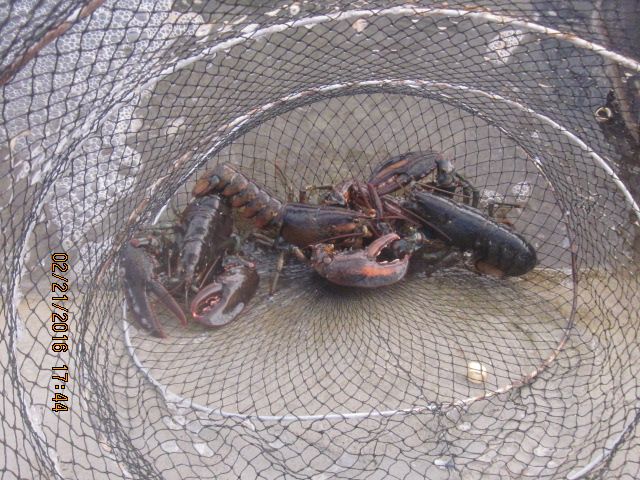 IMG_3585.JPG