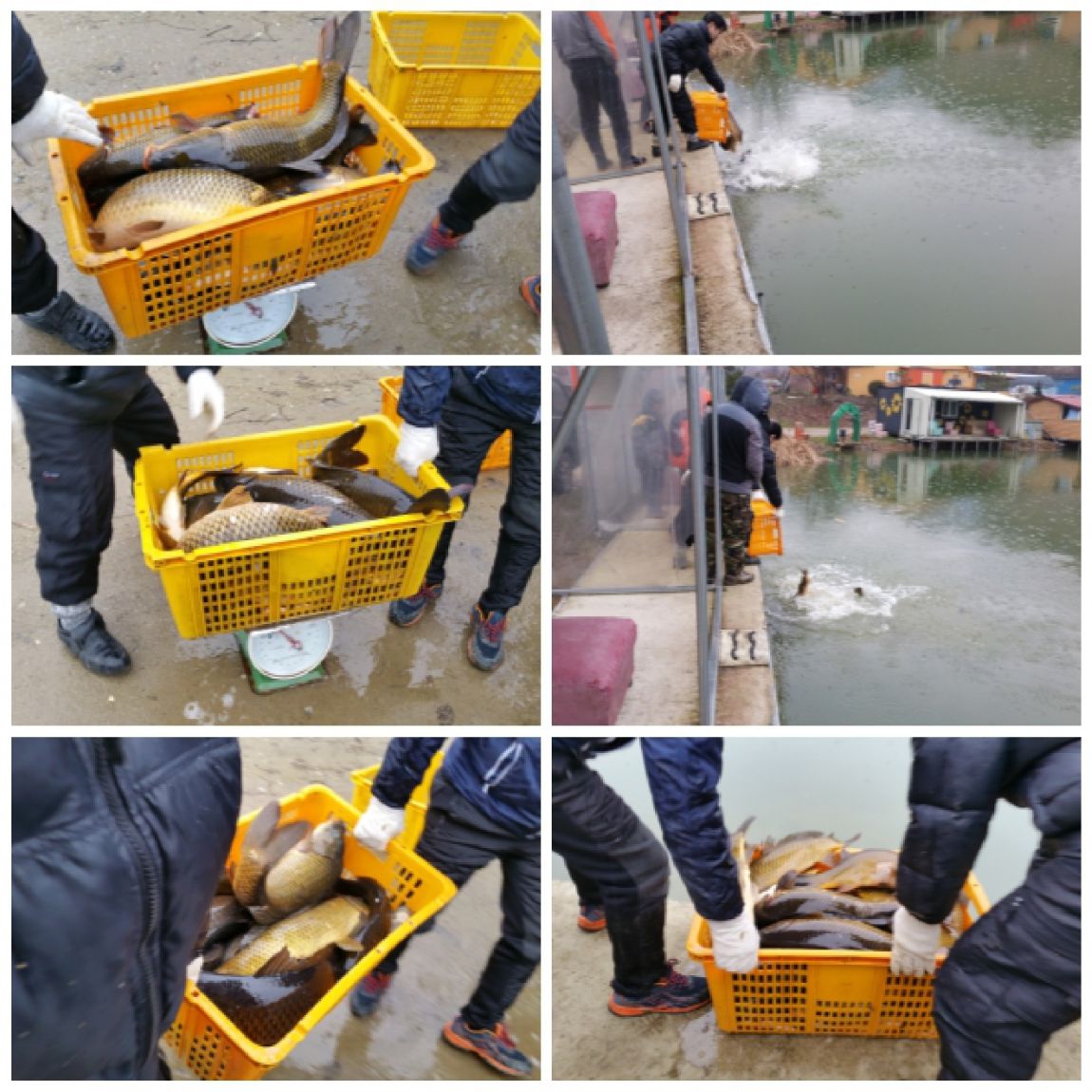 layout 2016-2-22 (1).jpg