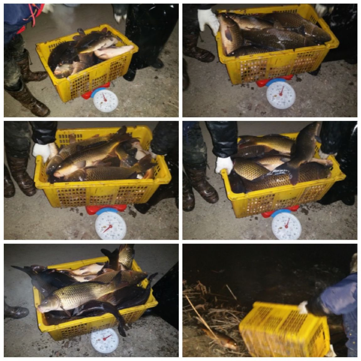 layout 2016-2-22.jpg