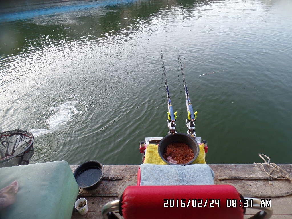 SAM_2835.JPG