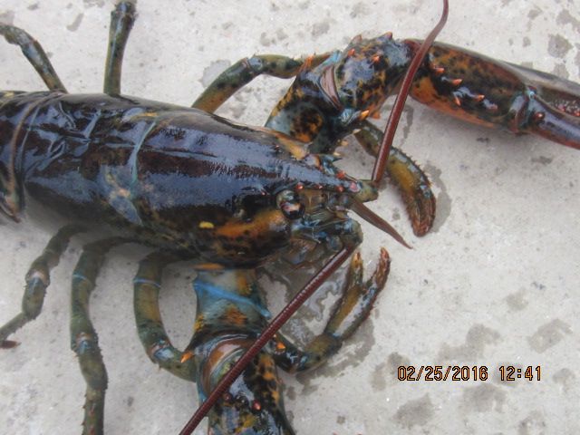 IMG_3647.JPG