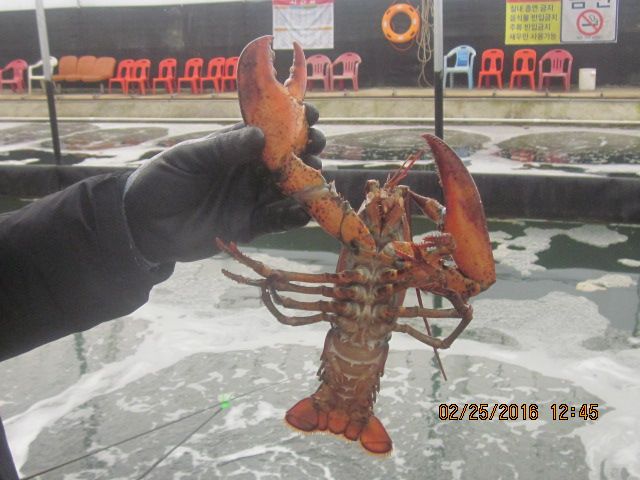 IMG_3649.JPG