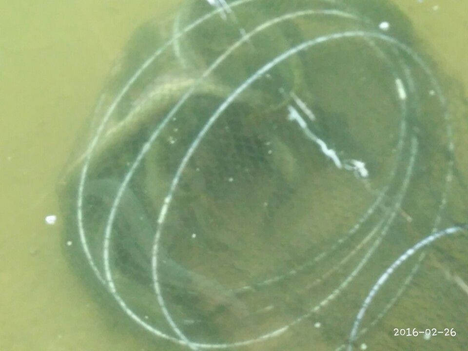 1456492586310.jpg