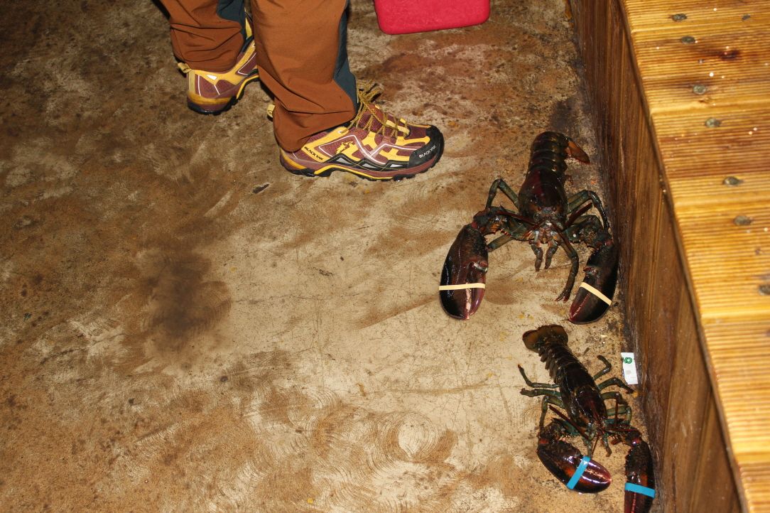 IMG_3540.JPG