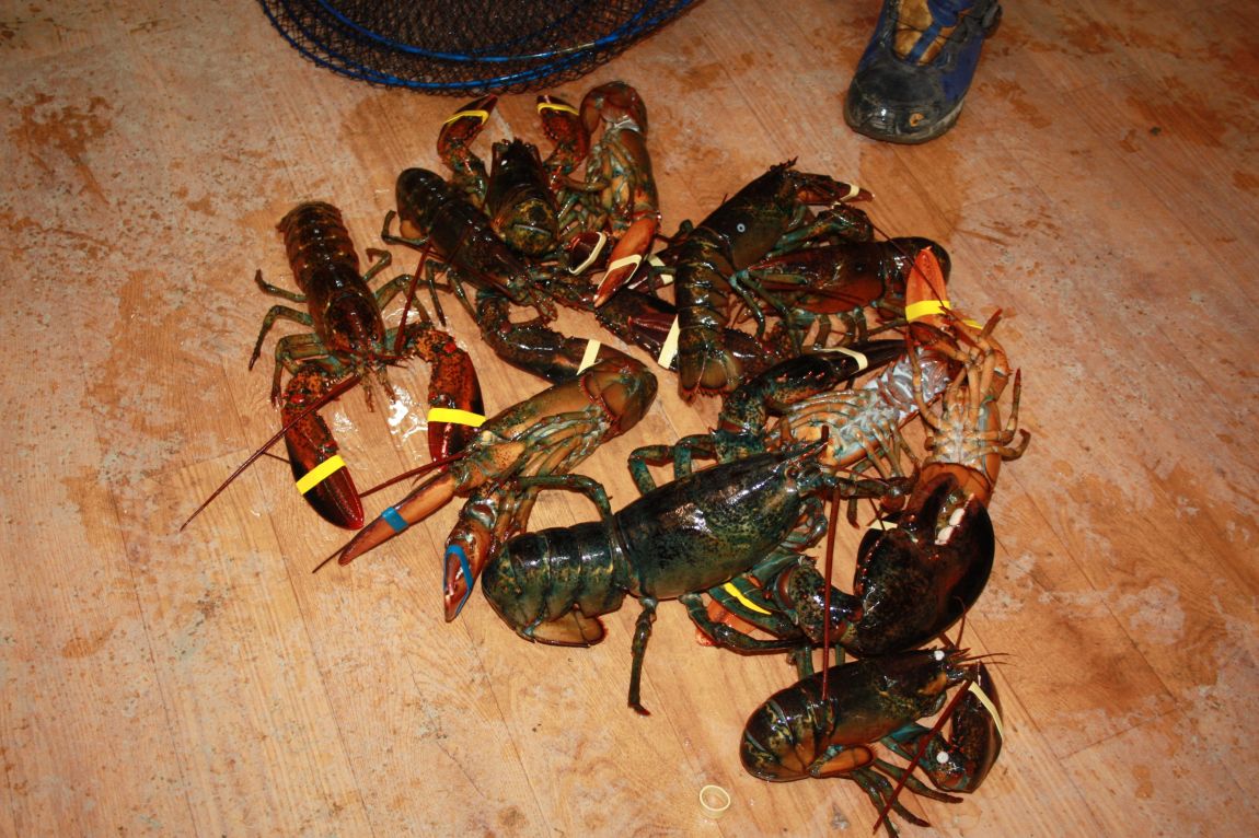 IMG_8025.JPG