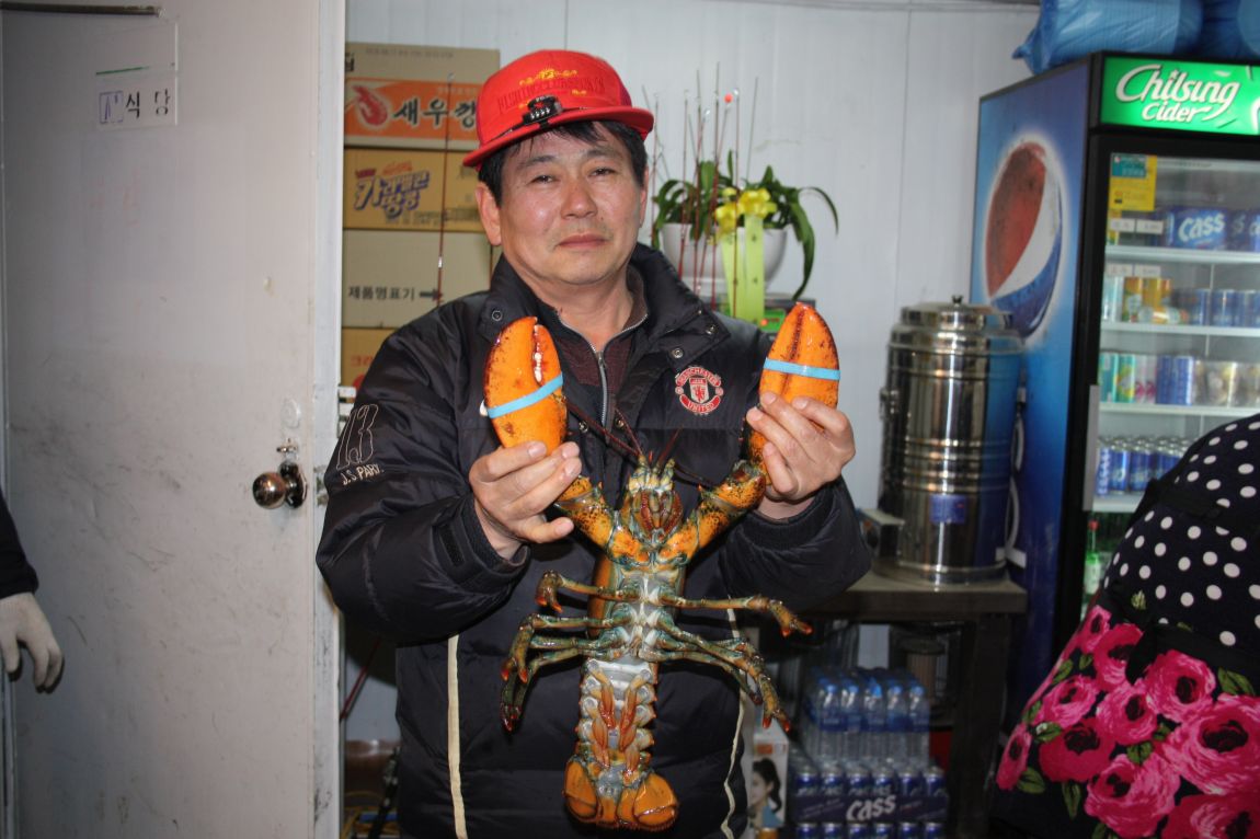 IMG_8031.JPG